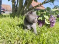 https://www.waibe.fr/sites/delphine59h/medias/images/__HIDDEN__galerie_30/IMG_20260424_164022.jpg