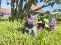 https://www.waibe.fr/sites/delphine59h/medias/images/__HIDDEN__galerie_30/IMG_20260424_164024.jpg