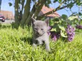 https://www.waibe.fr/sites/delphine59h/medias/images/__HIDDEN__galerie_30/IMG_20260424_164025.jpg