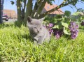 https://www.waibe.fr/sites/delphine59h/medias/images/__HIDDEN__galerie_30/IMG_20260424_164032.jpg