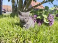 https://www.waibe.fr/sites/delphine59h/medias/images/__HIDDEN__galerie_30/IMG_20260424_164033.jpg
