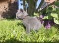 https://www.waibe.fr/sites/delphine59h/medias/images/__HIDDEN__galerie_30/IMG_20260424_164041.jpg