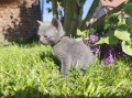 https://www.waibe.fr/sites/delphine59h/medias/images/__HIDDEN__galerie_30/IMG_20260424_164042.jpg