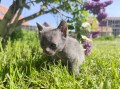 https://www.waibe.fr/sites/delphine59h/medias/images/__HIDDEN__galerie_30/IMG_20260424_164048.jpg