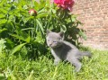 https://www.waibe.fr/sites/delphine59h/medias/images/__HIDDEN__galerie_30/IMG_20260424_164101.jpg