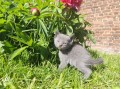 https://www.waibe.fr/sites/delphine59h/medias/images/__HIDDEN__galerie_30/IMG_20260424_164105.jpg