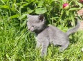 https://www.waibe.fr/sites/delphine59h/medias/images/__HIDDEN__galerie_30/IMG_20260424_164116.jpg