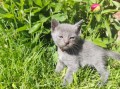 https://www.waibe.fr/sites/delphine59h/medias/images/__HIDDEN__galerie_30/IMG_20260424_164119_1.jpg