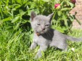 https://www.waibe.fr/sites/delphine59h/medias/images/__HIDDEN__galerie_30/IMG_20260424_164120.jpg