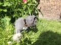 https://www.waibe.fr/sites/delphine59h/medias/images/__HIDDEN__galerie_30/IMG_20260424_164121.jpg