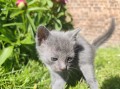 https://www.waibe.fr/sites/delphine59h/medias/images/__HIDDEN__galerie_30/IMG_20260424_164136.jpg