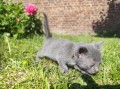 https://www.waibe.fr/sites/delphine59h/medias/images/__HIDDEN__galerie_30/IMG_20260424_164143.jpg