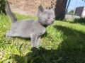 https://www.waibe.fr/sites/delphine59h/medias/images/__HIDDEN__galerie_30/IMG_20260424_164146.jpg
