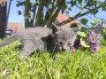 https://www.waibe.fr/sites/delphine59h/medias/images/__HIDDEN__galerie_30/IMG_20260424_164233.jpg