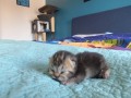 https://www.waibe.fr/sites/delphine59h/medias/images/__HIDDEN__galerie_31/IMG_20260424_165518.jpg