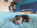 https://www.waibe.fr/sites/delphine59h/medias/images/__HIDDEN__galerie_31/IMG_20260424_165519.jpg