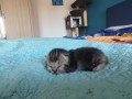 https://www.waibe.fr/sites/delphine59h/medias/images/__HIDDEN__galerie_31/IMG_20260424_165520.jpg