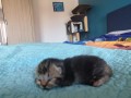 https://www.waibe.fr/sites/delphine59h/medias/images/__HIDDEN__galerie_31/IMG_20260424_165523.jpg
