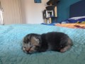 https://www.waibe.fr/sites/delphine59h/medias/images/__HIDDEN__galerie_31/IMG_20260424_165525.jpg