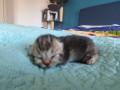 https://www.waibe.fr/sites/delphine59h/medias/images/__HIDDEN__galerie_31/IMG_20260424_165529.jpg