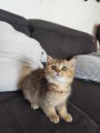 https://www.waibe.fr/sites/delphine59h/medias/images/__HIDDEN__galerie_31/IMG_20260714_171826.jpg