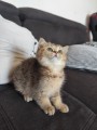 https://www.waibe.fr/sites/delphine59h/medias/images/__HIDDEN__galerie_31/IMG_20260714_171829.jpg