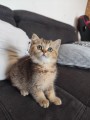 https://www.waibe.fr/sites/delphine59h/medias/images/__HIDDEN__galerie_31/IMG_20260714_171830.jpg