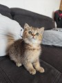 https://www.waibe.fr/sites/delphine59h/medias/images/__HIDDEN__galerie_31/IMG_20260714_171832.jpg