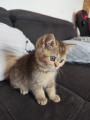 https://www.waibe.fr/sites/delphine59h/medias/images/__HIDDEN__galerie_31/IMG_20260714_171836.jpg