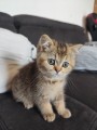 https://www.waibe.fr/sites/delphine59h/medias/images/__HIDDEN__galerie_31/IMG_20260714_171839.jpg
