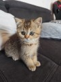 https://www.waibe.fr/sites/delphine59h/medias/images/__HIDDEN__galerie_31/IMG_20260714_171852.jpg