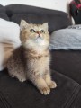 https://www.waibe.fr/sites/delphine59h/medias/images/__HIDDEN__galerie_31/IMG_20260714_171853.jpg