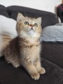 https://www.waibe.fr/sites/delphine59h/medias/images/__HIDDEN__galerie_31/IMG_20260714_171856.jpg