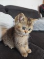 https://www.waibe.fr/sites/delphine59h/medias/images/__HIDDEN__galerie_31/IMG_20260714_171857.jpg