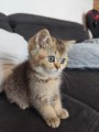 https://www.waibe.fr/sites/delphine59h/medias/images/__HIDDEN__galerie_31/IMG_20260714_171858.jpg