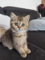 https://www.waibe.fr/sites/delphine59h/medias/images/__HIDDEN__galerie_31/IMG_20260714_171900.jpg