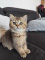 https://www.waibe.fr/sites/delphine59h/medias/images/__HIDDEN__galerie_31/IMG_20260714_171901.jpg