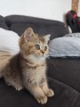 https://www.waibe.fr/sites/delphine59h/medias/images/__HIDDEN__galerie_31/IMG_20260714_171905.jpg
