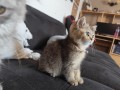 https://www.waibe.fr/sites/delphine59h/medias/images/__HIDDEN__galerie_31/IMG_20260714_171911.jpg