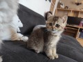https://www.waibe.fr/sites/delphine59h/medias/images/__HIDDEN__galerie_31/IMG_20260714_171913.jpg