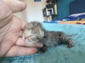 https://www.waibe.fr/sites/delphine59h/medias/images/__HIDDEN__galerie_32/IMG_20260424_165242.jpg