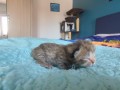 https://www.waibe.fr/sites/delphine59h/medias/images/__HIDDEN__galerie_32/IMG_20260424_165256.jpg