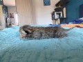https://www.waibe.fr/sites/delphine59h/medias/images/__HIDDEN__galerie_32/IMG_20260424_165353.jpg