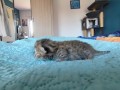 https://www.waibe.fr/sites/delphine59h/medias/images/__HIDDEN__galerie_32/IMG_20260424_165357.jpg