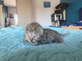https://www.waibe.fr/sites/delphine59h/medias/images/__HIDDEN__galerie_32/IMG_20260424_165400.jpg