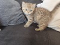 https://www.waibe.fr/sites/delphine59h/medias/images/__HIDDEN__galerie_32/IMG_20260714_170452.jpg