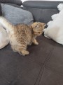 https://www.waibe.fr/sites/delphine59h/medias/images/__HIDDEN__galerie_32/IMG_20260714_170506.jpg