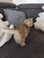https://www.waibe.fr/sites/delphine59h/medias/images/__HIDDEN__galerie_32/IMG_20260714_170510.jpg