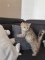 https://www.waibe.fr/sites/delphine59h/medias/images/__HIDDEN__galerie_32/IMG_20260714_170525.jpg