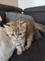 https://www.waibe.fr/sites/delphine59h/medias/images/__HIDDEN__galerie_32/IMG_20260714_170535.jpg